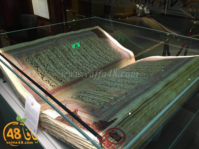 mo3tmren yaffa (48).JPG